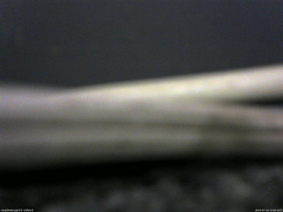 長野県菅平高原 ゆたか山荘 南側 2025/07/14 12:00