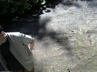 長野県菅平高原 ゆたか山荘 南側 2025/07/16 07:45