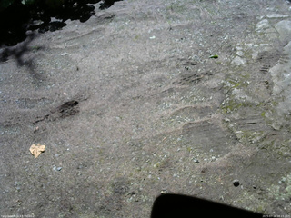 長野県菅平高原 ゆたか山荘 南側 2025/07/16 08:15