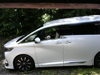 長野県菅平高原 ゆたか山荘 南側 2025/07/16 10:30