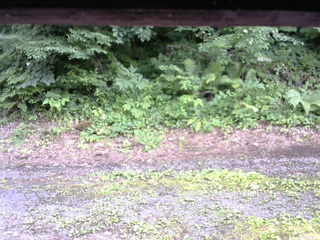 長野県菅平高原 ゆたか山荘 南側 2025/07/16 15:45