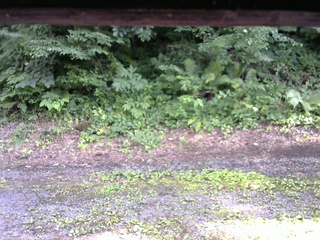 長野県菅平高原 ゆたか山荘 南側 2025/07/16 16:15