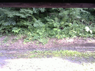 長野県菅平高原 ゆたか山荘 南側 2025/07/16 16:30