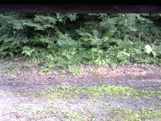 長野県菅平高原 ゆたか山荘 南側 2025/07/16 16:45