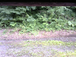 長野県菅平高原 ゆたか山荘 南側 2025/07/16 17:00