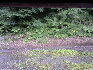 長野県菅平高原 ゆたか山荘 南側 2025/07/16 18:00