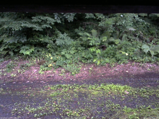 長野県菅平高原 ゆたか山荘 南側 2025/07/16 19:00