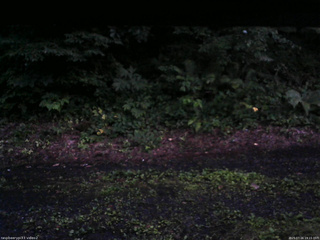 長野県菅平高原 ゆたか山荘 南側 2025/07/16 19:15