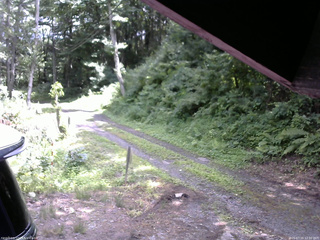 長野県菅平高原 ゆたか山荘 東側(坂下) 2025/07/16 12:30