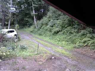 長野県菅平高原 ゆたか山荘 東側(坂下) 2025/07/16 15:30