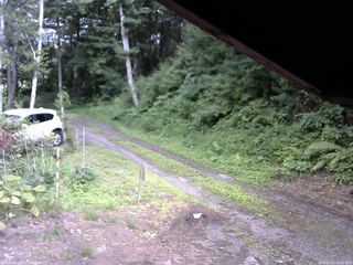 長野県菅平高原 ゆたか山荘 東側(坂下) 2025/07/16 16:00