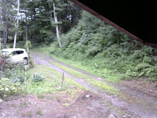 長野県菅平高原 ゆたか山荘 東側(坂下) 2025/07/16 17:45
