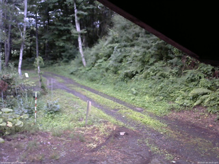 長野県菅平高原 ゆたか山荘 東側(坂下) 2025/07/16 18:45
