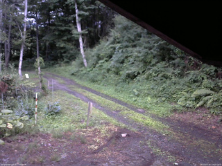 長野県菅平高原 ゆたか山荘 東側(坂下) 2025/07/16 19:00
