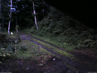 長野県菅平高原 ゆたか山荘 東側(坂下) 2025/07/16 19:15