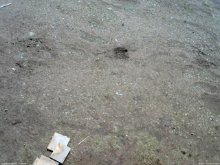 長野県菅平高原 ゆたか山荘 温度計 2025/07/16 08:45