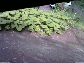長野県菅平高原 ゆたか山荘 温度計 2025/07/16 15:45