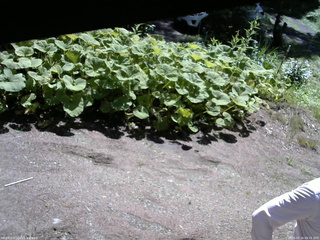 長野県菅平高原 ゆたか山荘 駐車場 2025/07/16 09:15