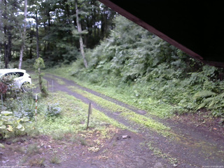 長野県菅平高原 ゆたか山荘 東側(坂下) 2025/07/17 07:00