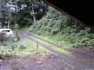 長野県菅平高原 ゆたか山荘 東側(坂下) 2025/07/17 08:00