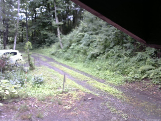 長野県菅平高原 ゆたか山荘 東側(坂下) 2025/07/17 08:15