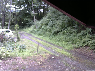 長野県菅平高原 ゆたか山荘 東側(坂下) 2025/07/17 10:30