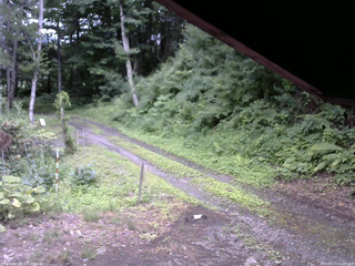 長野県菅平高原 ゆたか山荘 東側(坂下) 2025/07/17 11:00