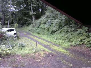 長野県菅平高原 ゆたか山荘 東側(坂下) 2025/07/17 13:15