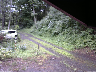 長野県菅平高原 ゆたか山荘 東側(坂下) 2025/07/17 14:30