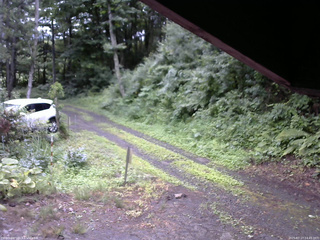 長野県菅平高原 ゆたか山荘 東側(坂下) 2025/07/17 14:45