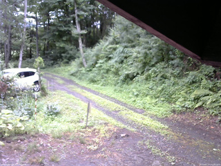 長野県菅平高原 ゆたか山荘 東側(坂下) 2025/07/17 15:00