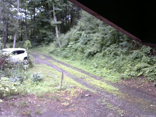 長野県菅平高原 ゆたか山荘 東側(坂下) 2025/07/17 15:30