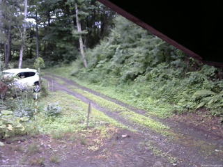 長野県菅平高原 ゆたか山荘 東側(坂下) 2025/07/17 15:45