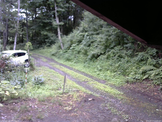 長野県菅平高原 ゆたか山荘 東側(坂下) 2025/07/17 16:00
