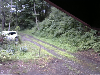 長野県菅平高原 ゆたか山荘 東側(坂下) 2025/07/17 16:30
