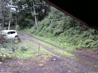 長野県菅平高原 ゆたか山荘 東側(坂下) 2025/07/17 17:15