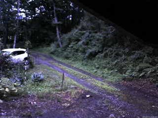 長野県菅平高原 ゆたか山荘 東側(坂下) 2025/07/17 19:00