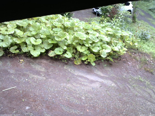 長野県菅平高原 ゆたか山荘 駐車場 2025/07/17 14:15