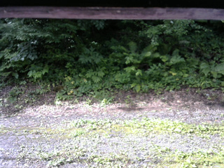 長野県菅平高原 ゆたか山荘 南側 2025/07/18 08:00