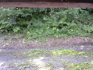 長野県菅平高原 ゆたか山荘 南側 2025/07/18 12:00