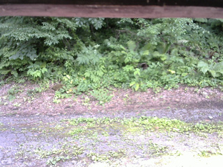 長野県菅平高原 ゆたか山荘 南側 2025/07/18 14:15