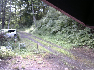 長野県菅平高原 ゆたか山荘 東側(坂下) 2025/07/18 07:00