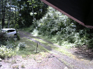 長野県菅平高原 ゆたか山荘 東側(坂下) 2025/07/18 08:30