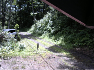 長野県菅平高原 ゆたか山荘 東側(坂下) 2025/07/18 09:45