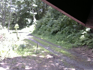 長野県菅平高原 ゆたか山荘 東側(坂下) 2025/07/18 12:15