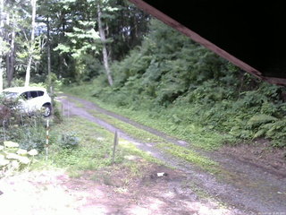 長野県菅平高原 ゆたか山荘 東側(坂下) 2025/07/18 15:00