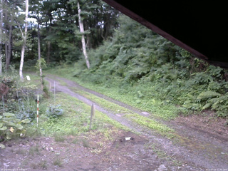 長野県菅平高原 ゆたか山荘 東側(坂下) 2025/07/18 17:45
