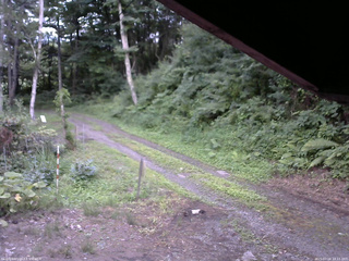 長野県菅平高原 ゆたか山荘 東側(坂下) 2025/07/18 18:15