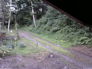 長野県菅平高原 ゆたか山荘 東側(坂下) 2025/07/18 18:30