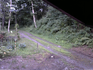 長野県菅平高原 ゆたか山荘 東側(坂下) 2025/07/18 18:45
